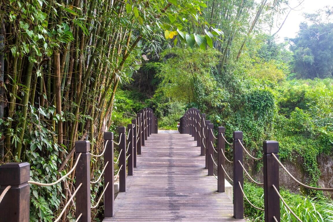 在台中的山裡醒來，當城市開始喧囂，去大坑風景區聽聽風的聲音