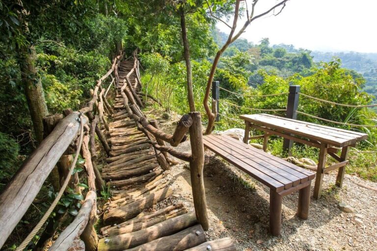 在台中的山裡醒來，當城市開始喧囂，去大坑風景區聽聽風的聲音