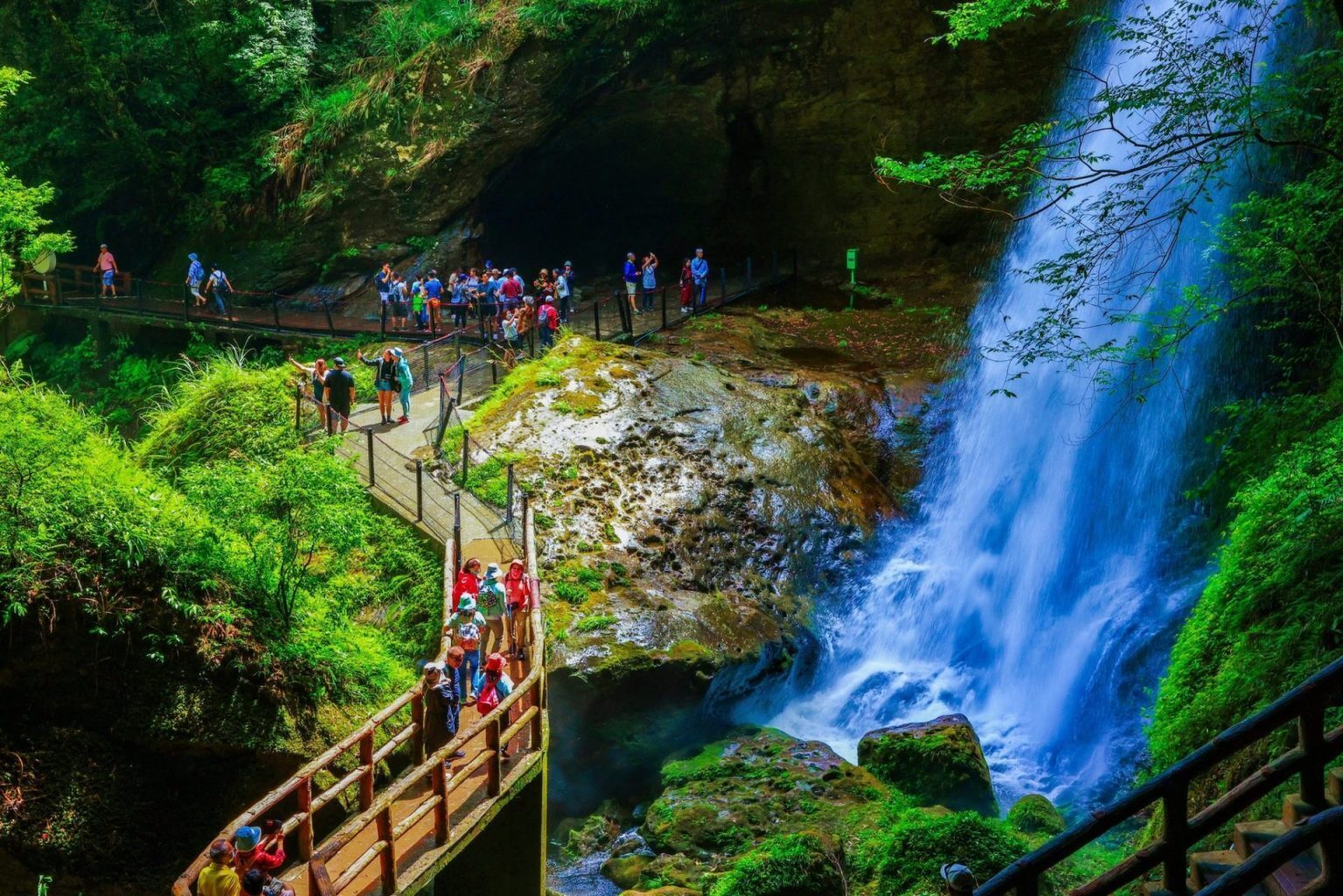 霧氣在山谷裡發光，杉林溪的四季故事正悄悄綻放｜南投杉林溪森林生態渡假園區
