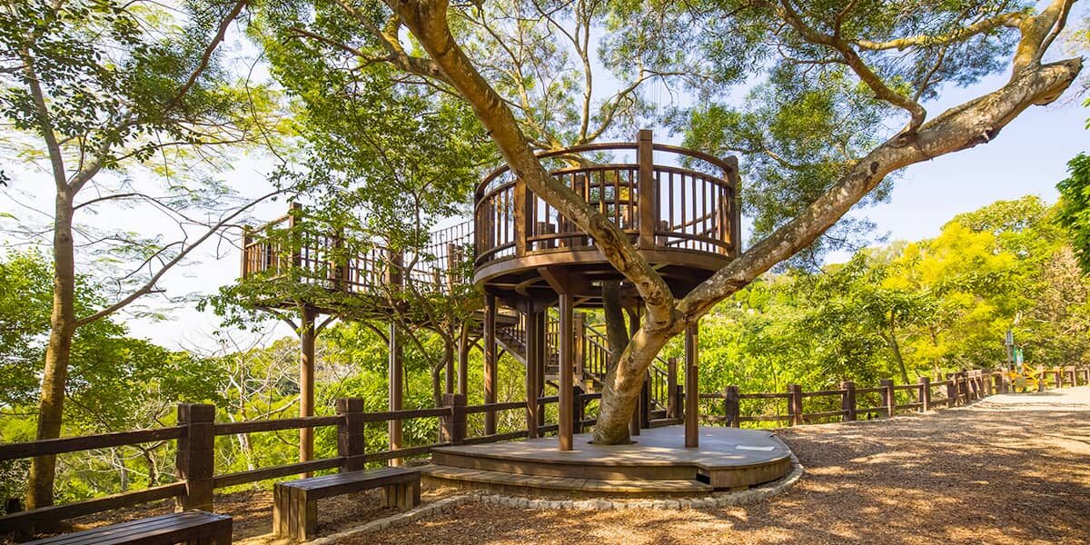 走進台中大坑步道｜四條人氣登山路線，一次收藏城市裡的山與風