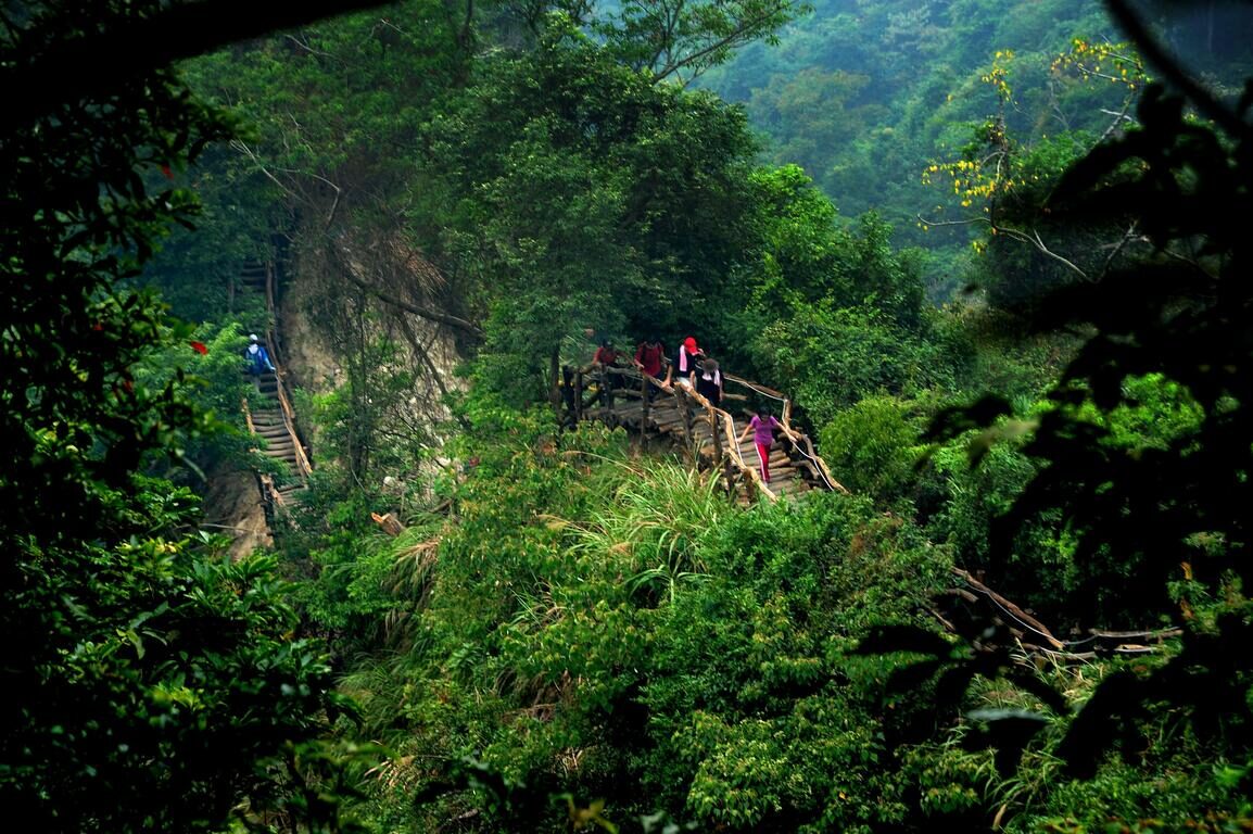 走進台中大坑步道｜四條人氣登山路線，一次收藏城市裡的山與風