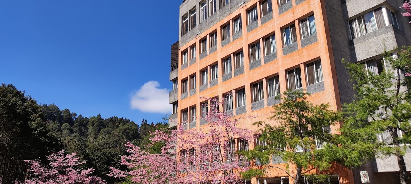 在樹影與鳥鳴間醒來的早晨，霧氣中的微光旅宿—杉林溪森林生態渡假園區大飯店