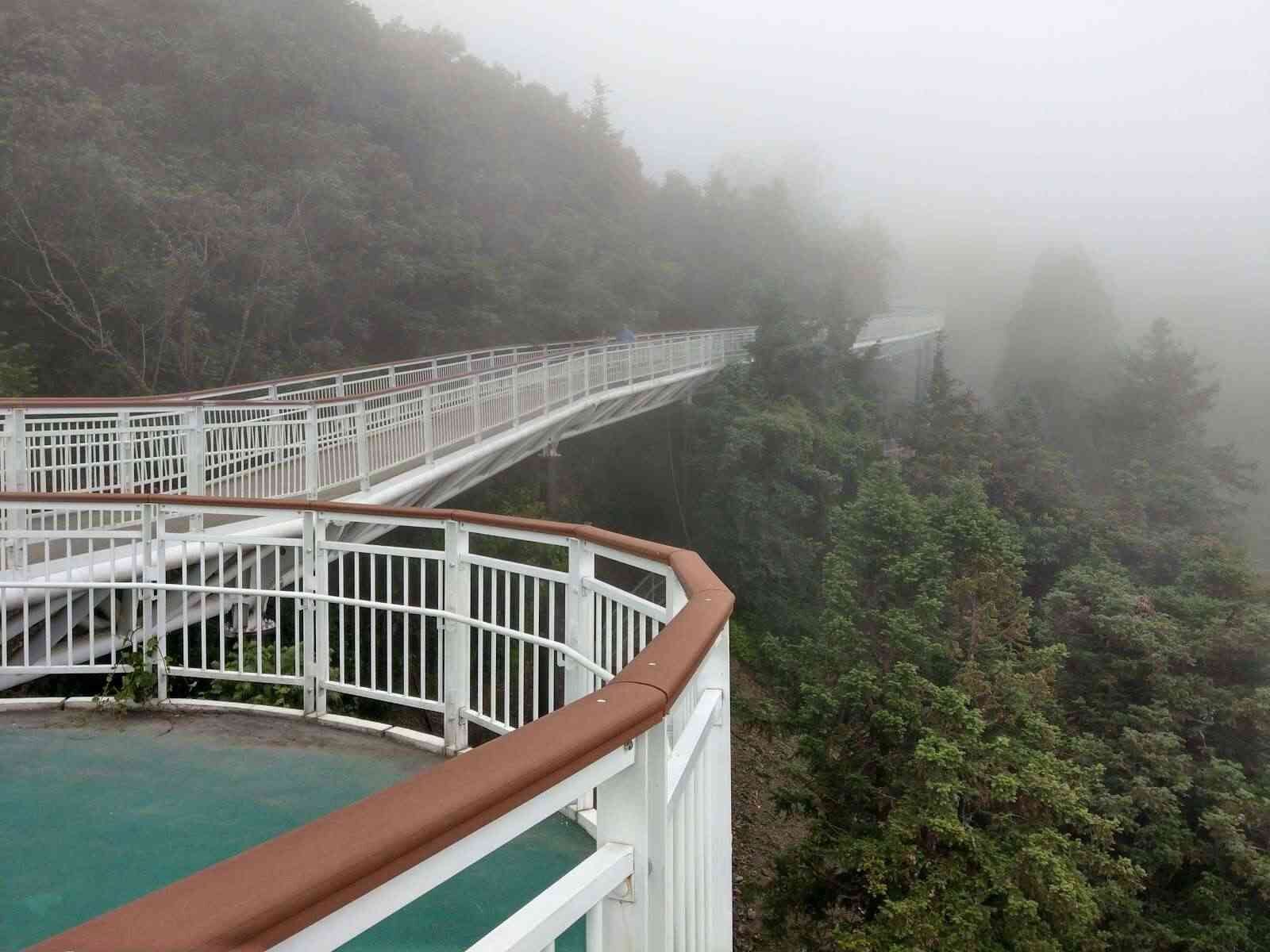 在雲端散步的一天｜清境高空觀景步道的風、光與雲的距離