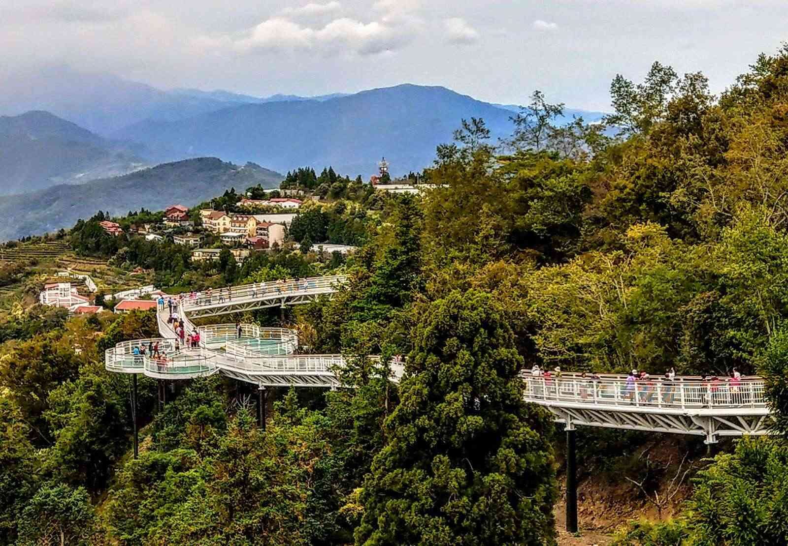 在雲端散步的一天｜清境高空觀景步道的風、光與雲的距離