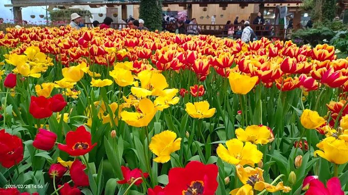 杉林溪森林生態渡假園區 花卉中心