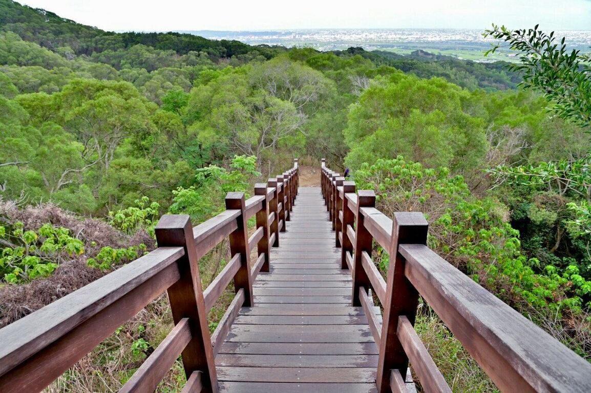 當城市遇見森林，讓腳步帶你旅行｜在台中的山林間，遇見最純粹的風景