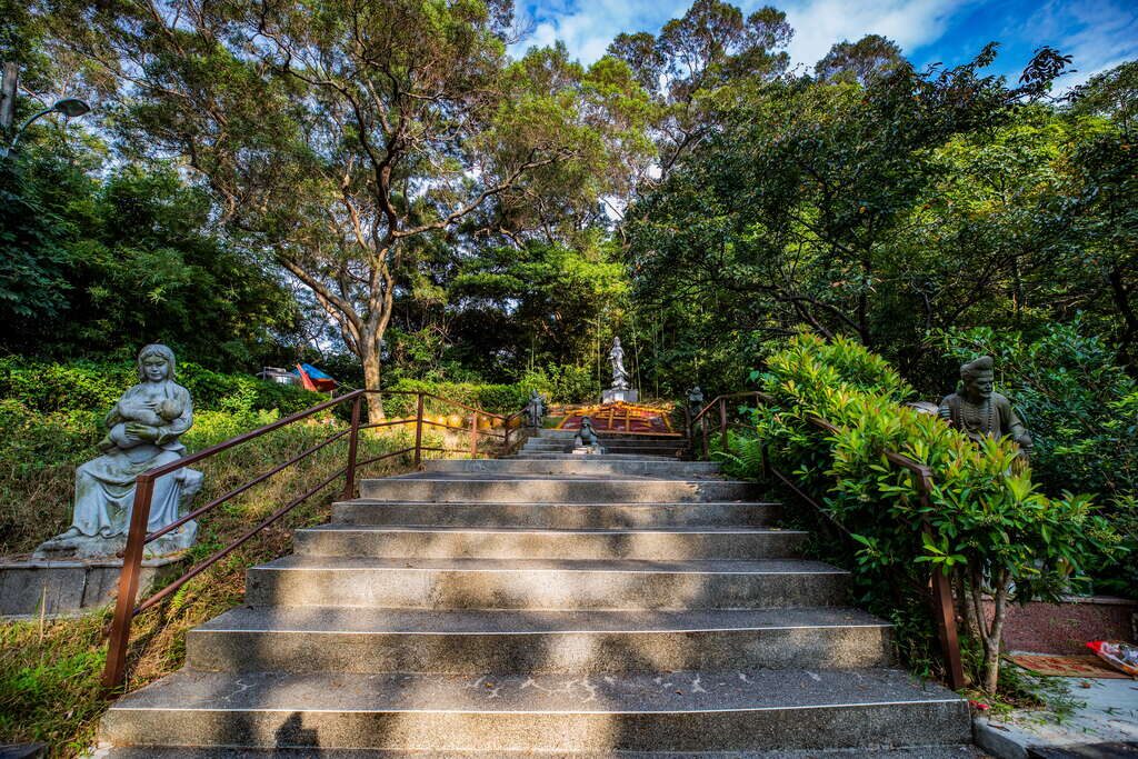 桃園五大人氣步道｜讓風與樹影帶你走一場溫柔的山林旅程