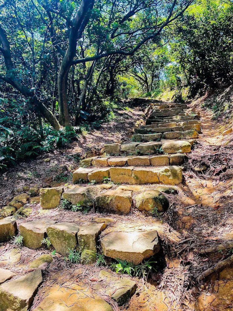 南子吝步道｜從南雅漁港出發，一條就能望見山海交錯的夢幻步道！