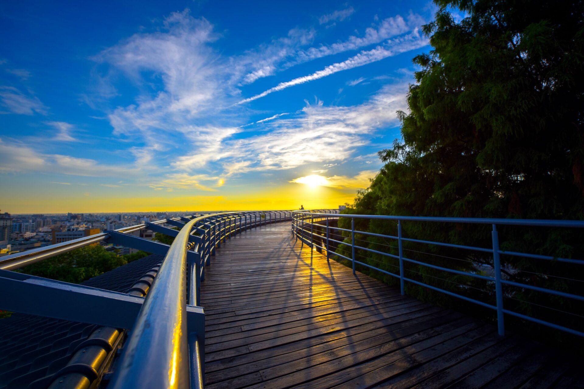 走進彰化八卦山天空步道，看見夕陽灑在大佛肩上｜一日散步旅懶人指南