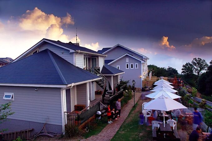 出發去南投！清境看羊、武嶺追雲海，兩天一夜剛剛好