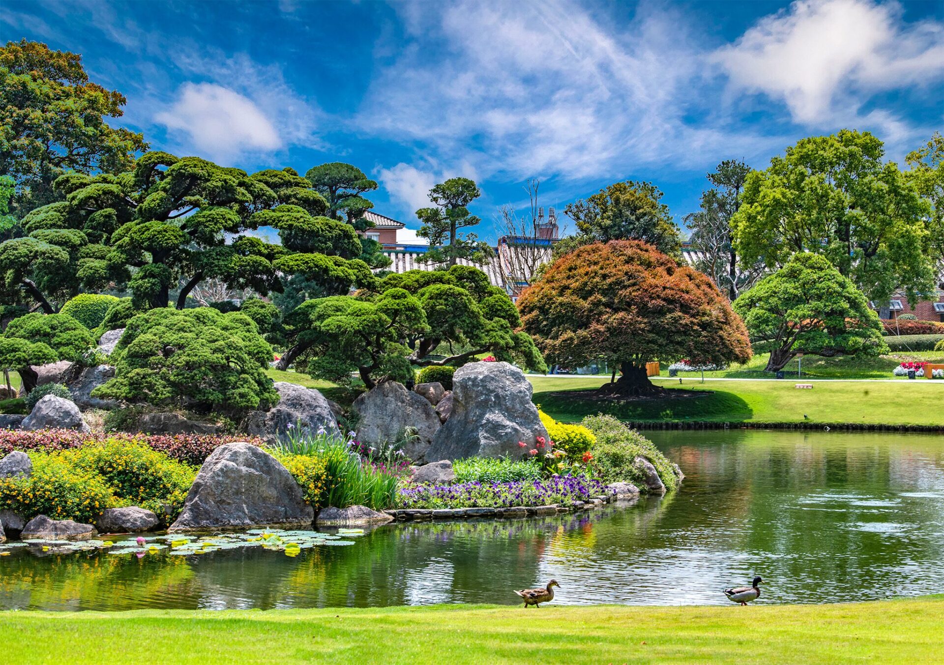 在彰化永靖成美文化園散步，看日式庭園水影與百年古厝交織成一段靜靜流動的風景