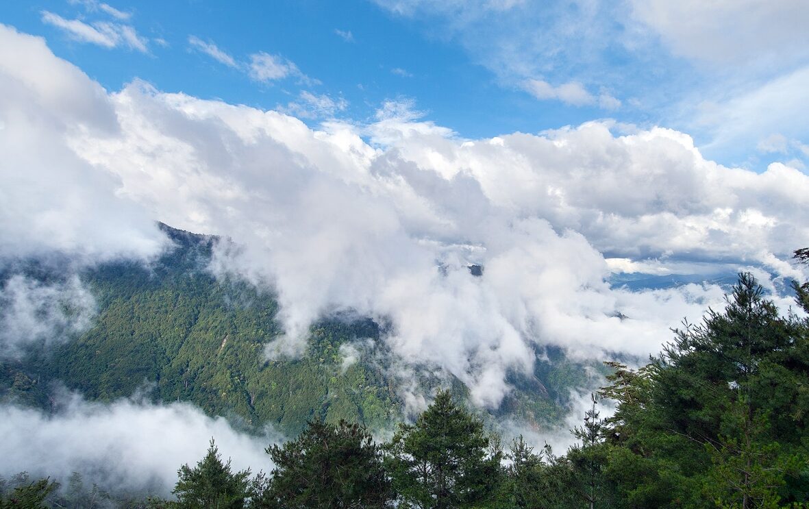 四季都能遇見不同的大雪山｜台中大雪山國家森林遊樂區門票、景點與最佳季節