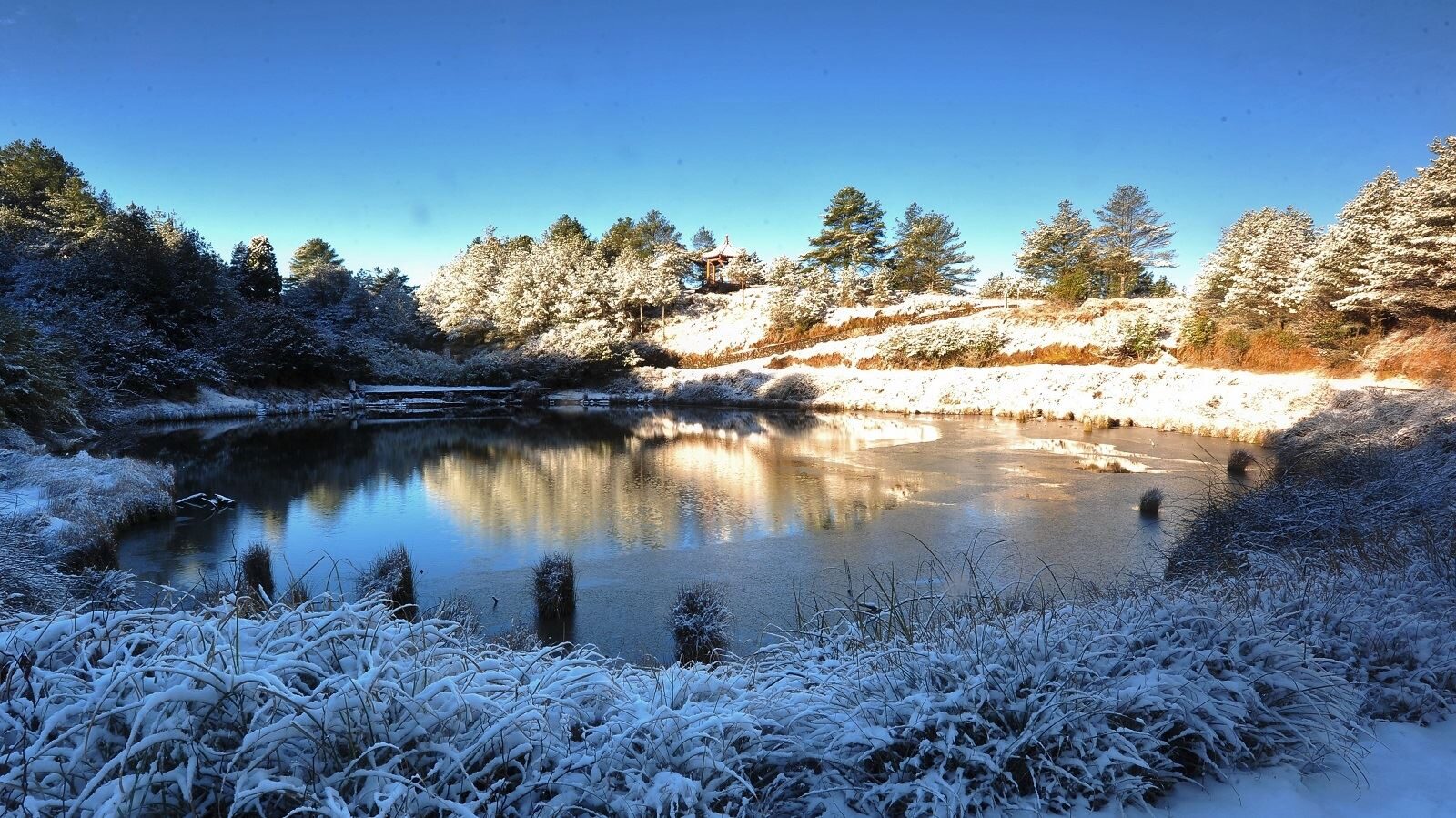 四季都能遇見不同的大雪山｜台中大雪山國家森林遊樂區門票、景點與最佳季節