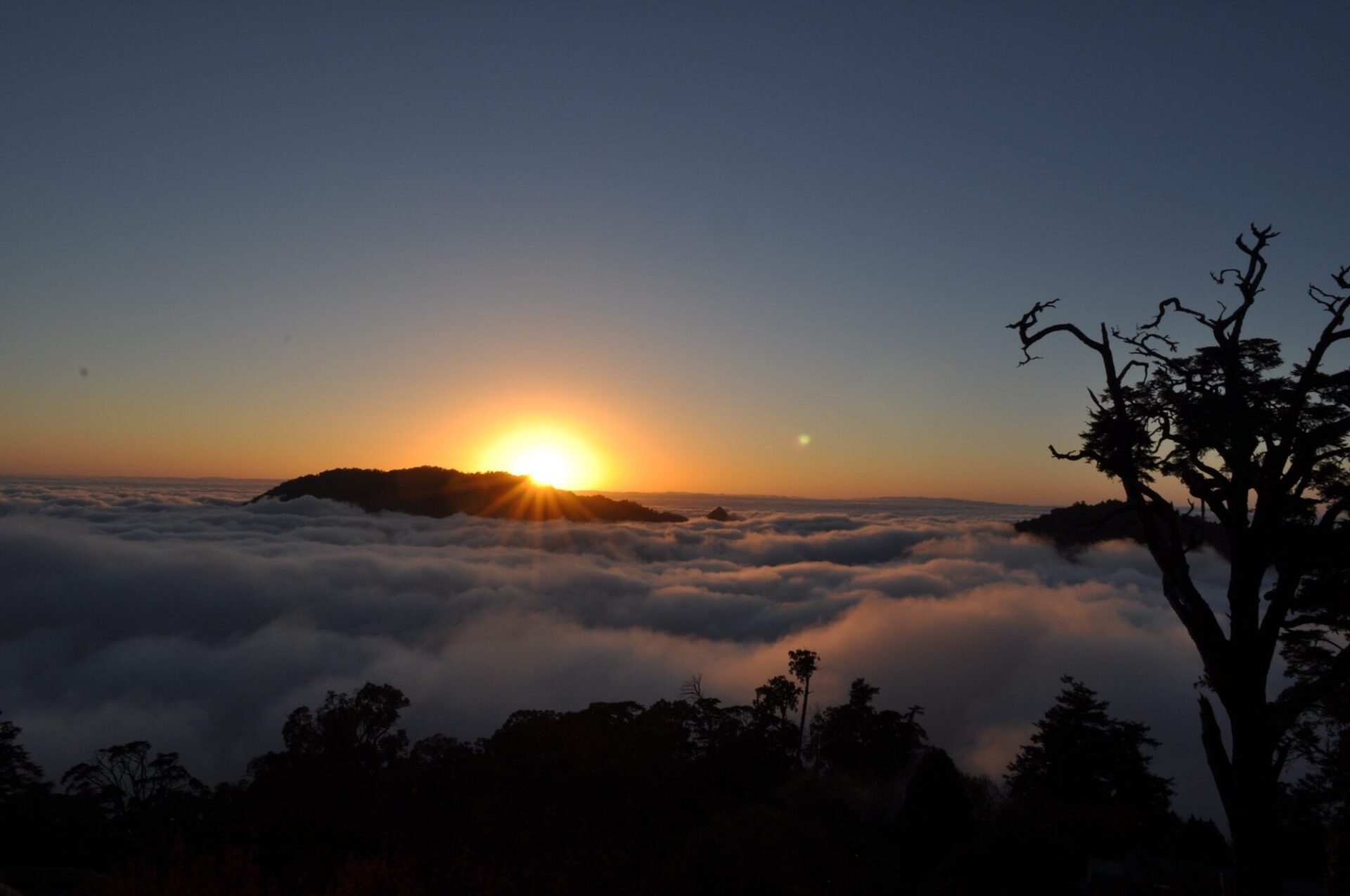 四季都能遇見不同的大雪山｜台中大雪山國家森林遊樂區門票、景點與最佳季節