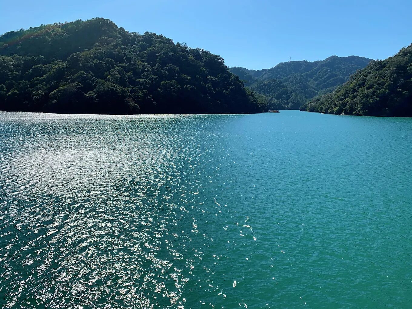 🍁 預先規劃11月，石門水庫槭林步道行程｜桃園最美賞楓秘境，走進秋日紅葉森林隧道
