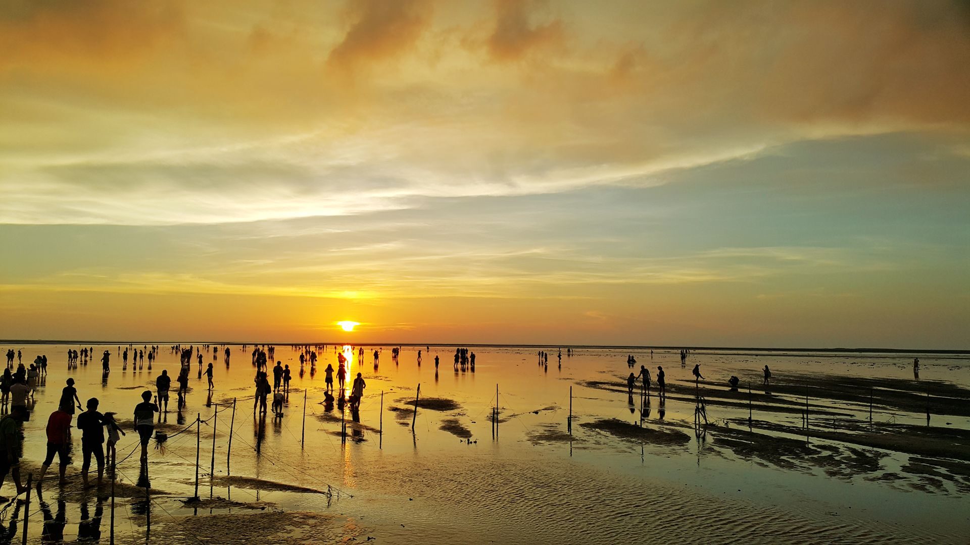 潮起潮落之間，遇見金色的風景｜高美濕地日落生態全攻略
