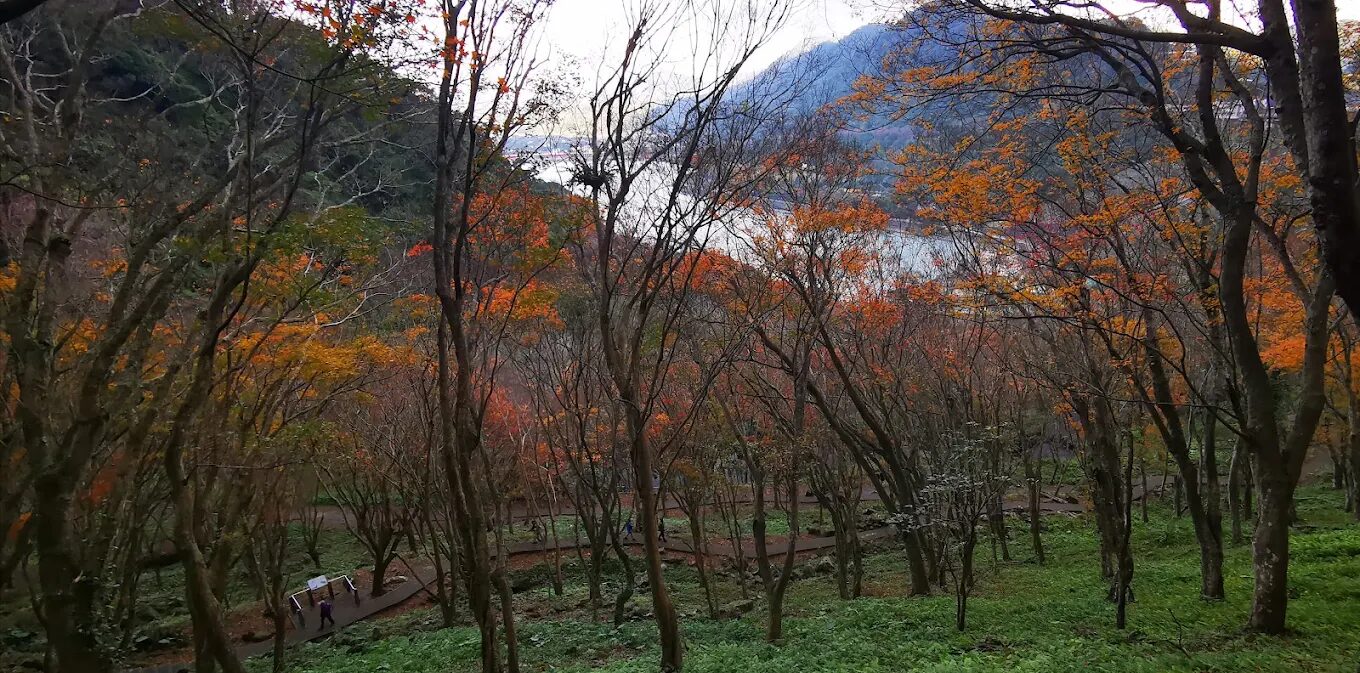 石門水庫步道地圖與交通指引