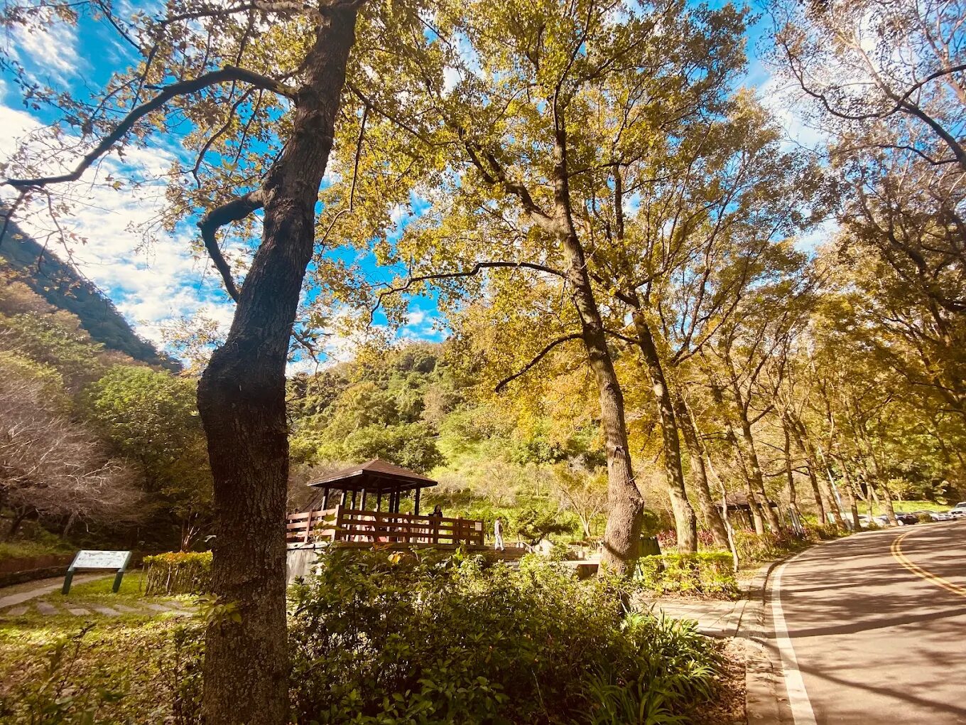 在石門水庫槭林步道享受悠閒時光