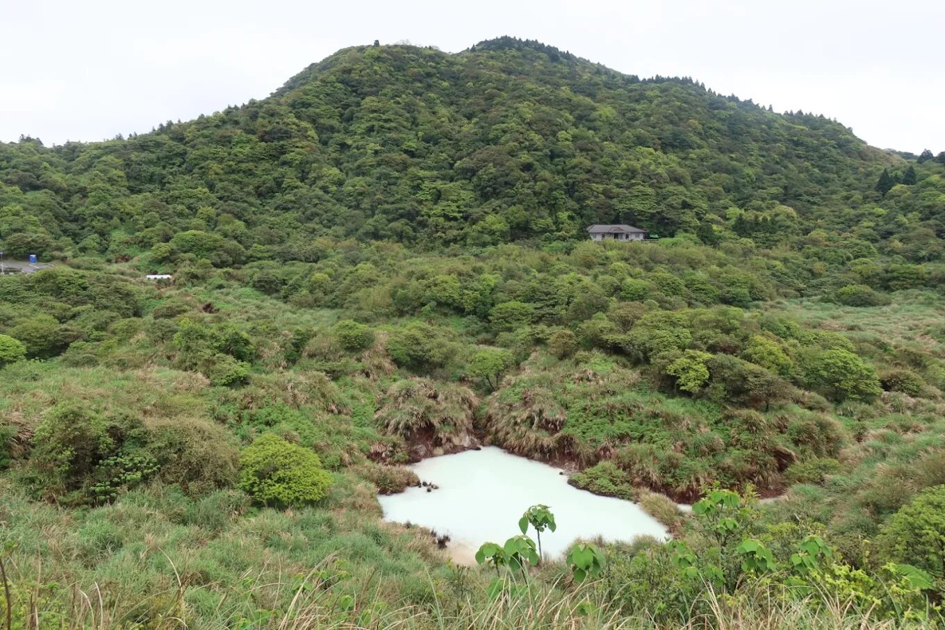 🌿 陽明山冷水坑遊客服務站｜泡湯賞景、登山健走一次滿足的山中秘境