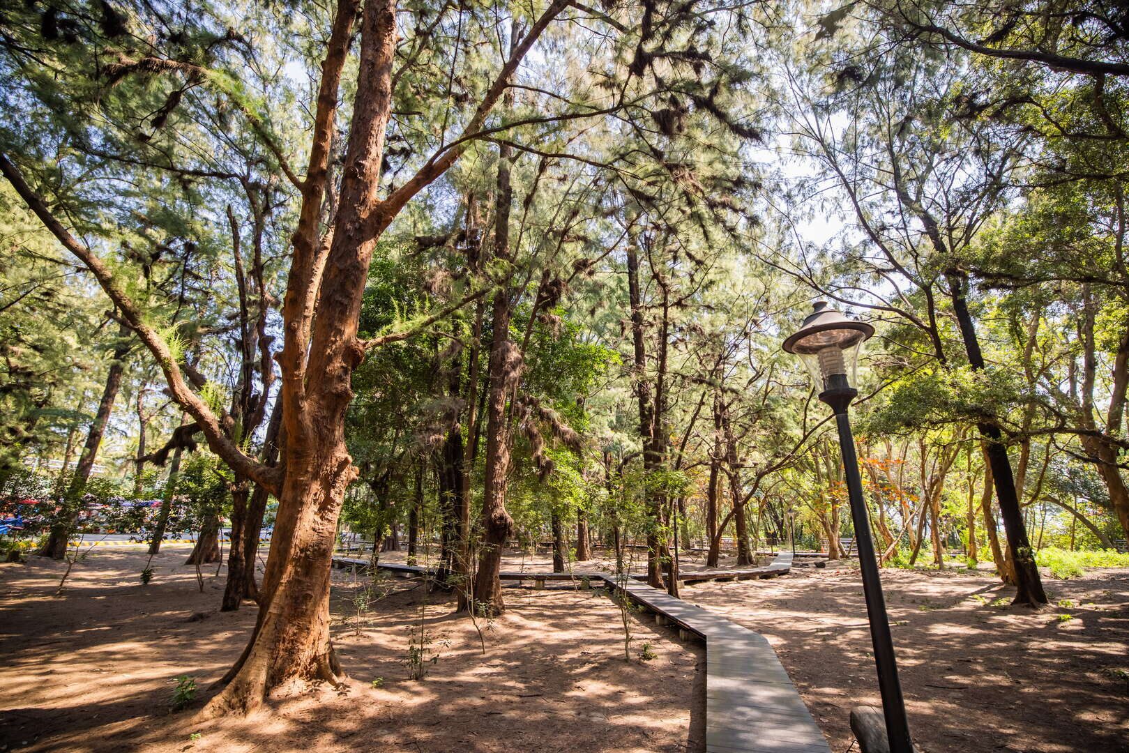 從日落走到夜色｜漁光島火神祭點亮台南海岸的秋天