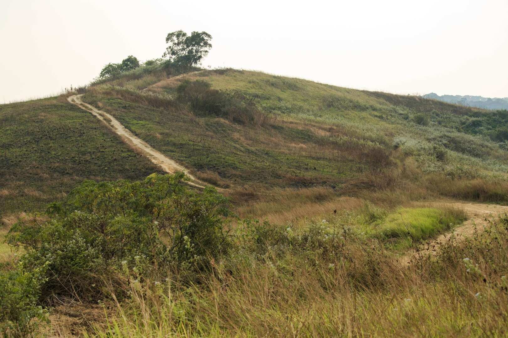 沿著台南秘境慢慢走，井仔腳鹽田夕陽與山林草原在光影裡靜靜展開