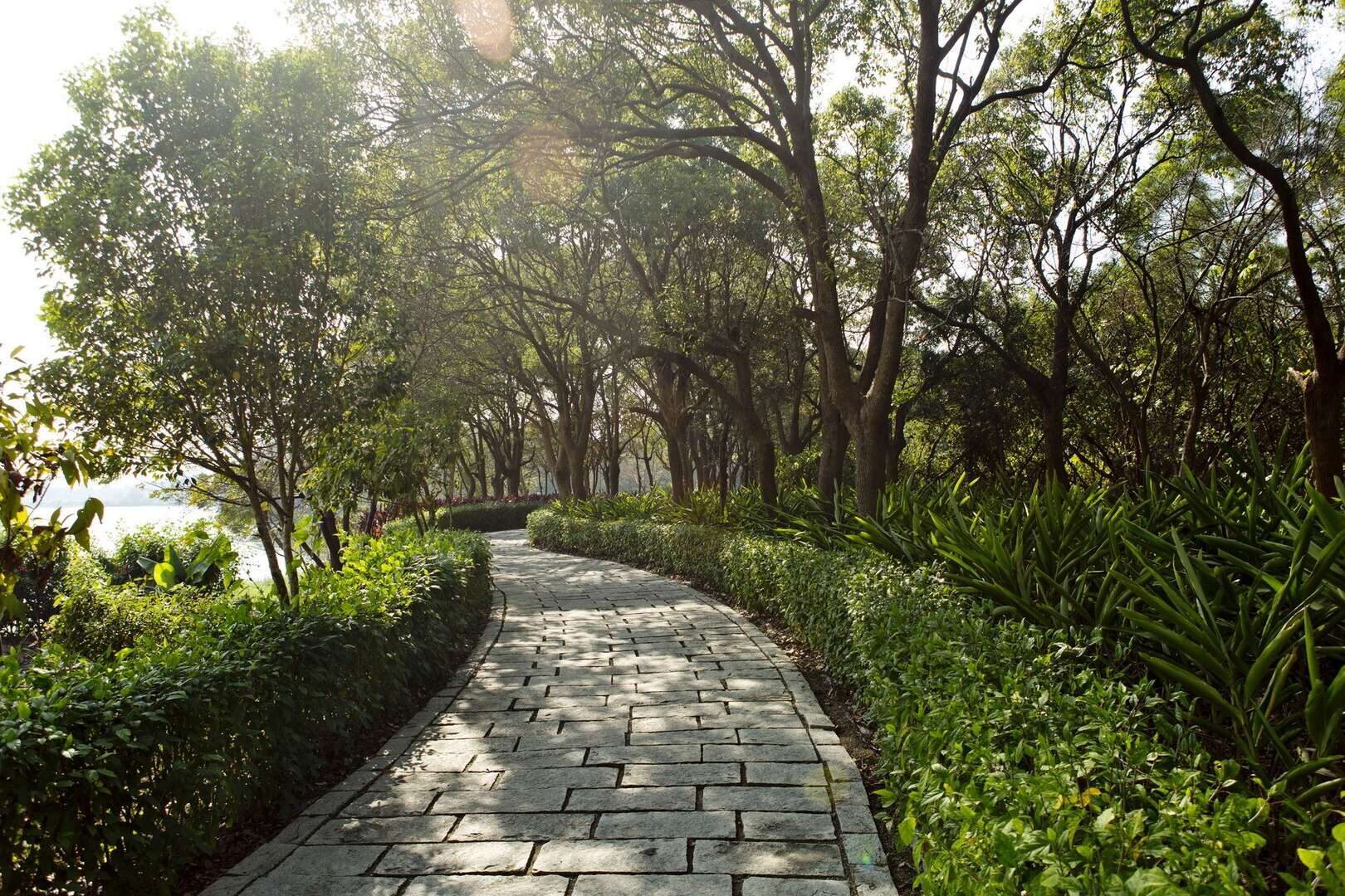 跟著陽光走！從台南七股鹽山到高雄忘憂森林，展開一場南部慢旅風景線