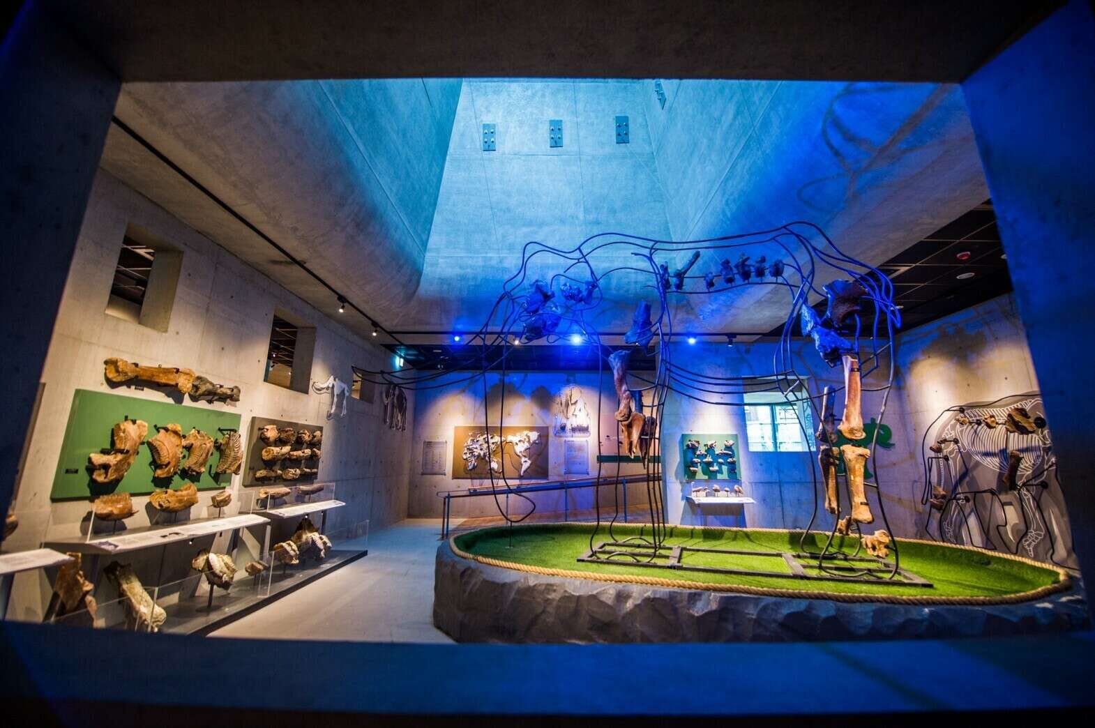 跟著陽光走！從台南七股鹽山到高雄忘憂森林，展開一場南部慢旅風景線