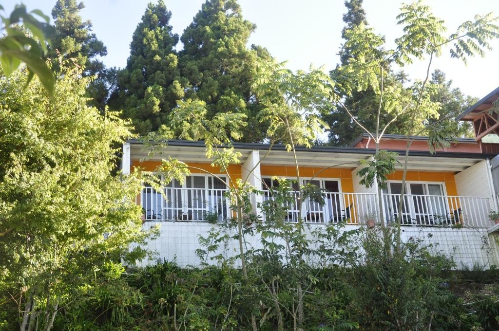 推開窗，清境的雲在走｜在山裡住一晚，看星空與晨光一起醒來