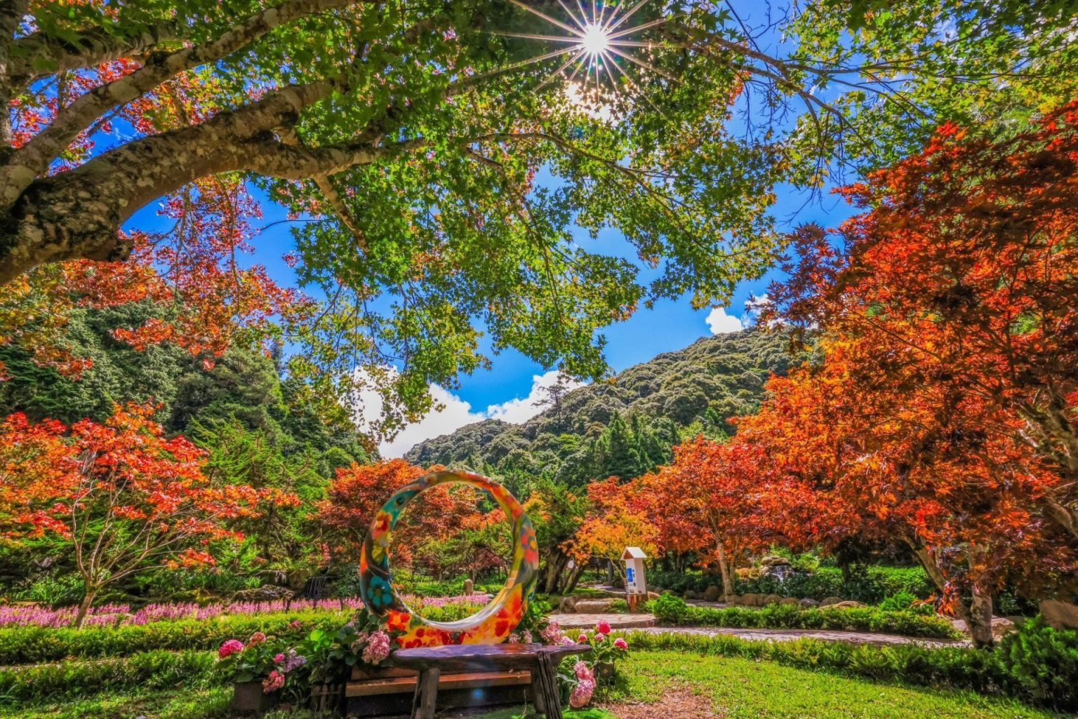 推開窗就是山與風，杉林溪大飯店寫下最柔軟的假期