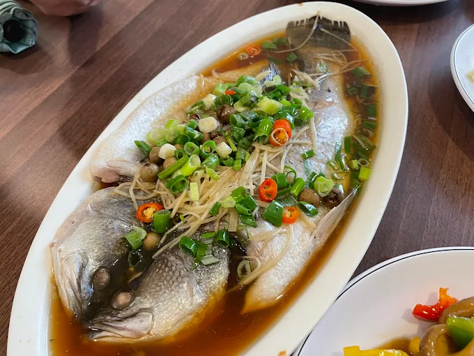 在日月潭湖畔慢行一日，從晨霧船影到午後步道的柔軟時光