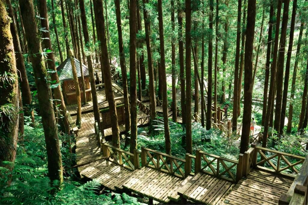 在明池國家森林遊樂區散步，把時間留給湖光與山風