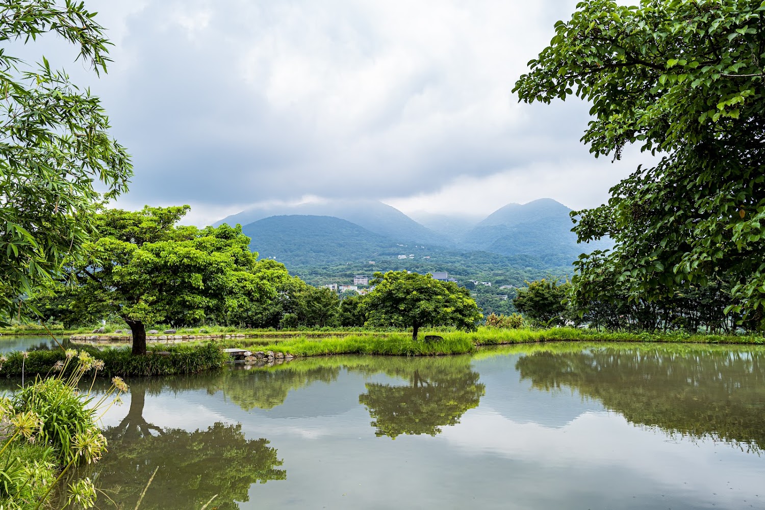 三芝景點｜你不可錯過的田心子美景完全指南