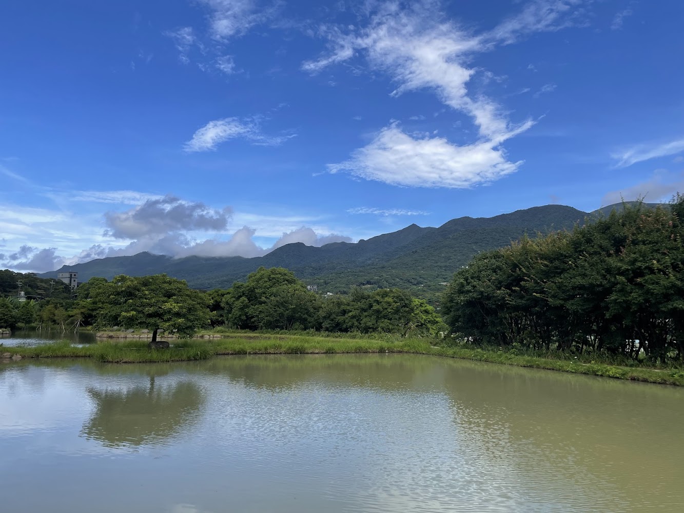 田心子水中央｜三芝景點｜你不可錯過的田心子美景完全指南