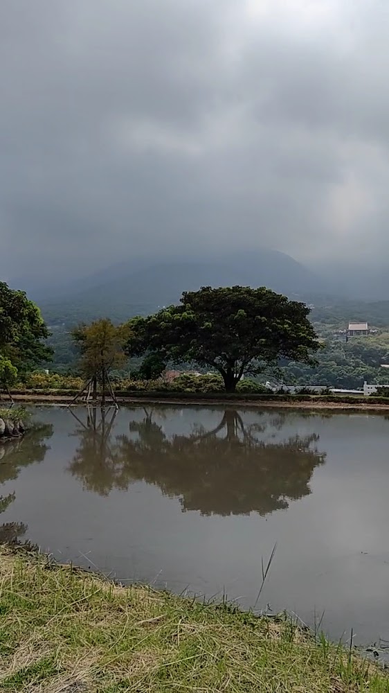 三芝景點｜你不可錯過的田心子美景完全指南