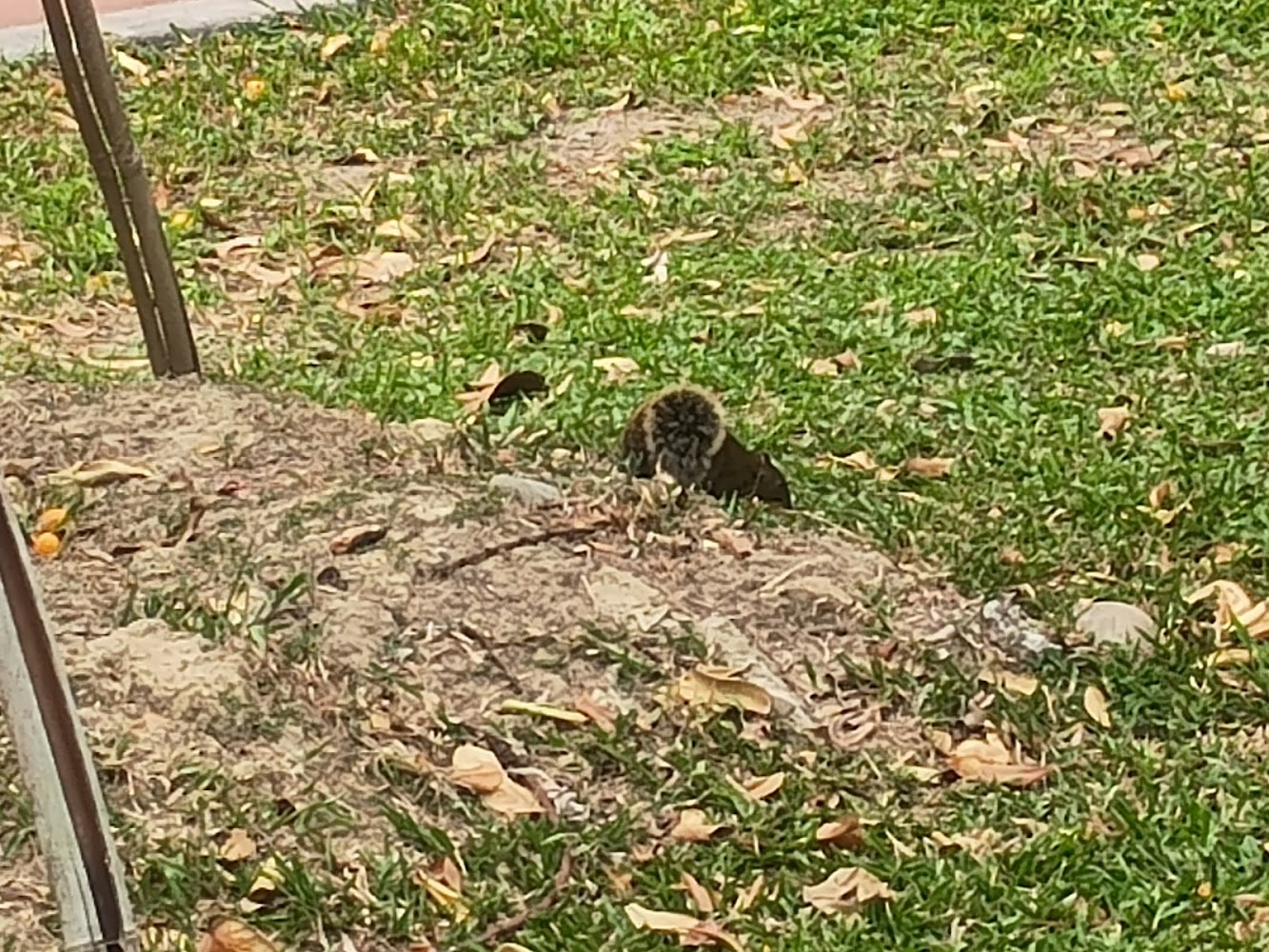 新北親子景點推薦:溪北生態休閒公園探索之旅