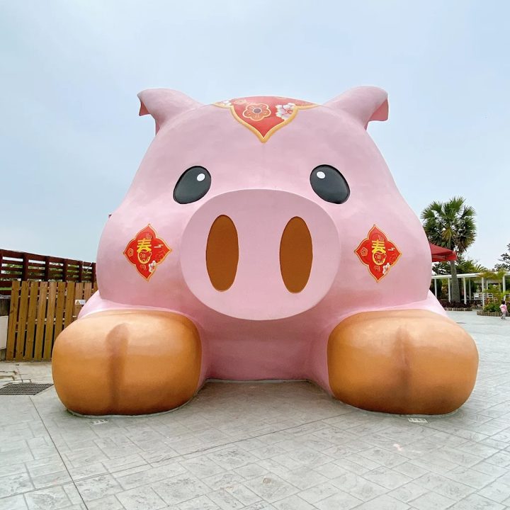 【嘉義民雄親子景點推薦】三隻小豬觀光農場：動物互動、遊樂設施、拍照打卡全攻略 🐷