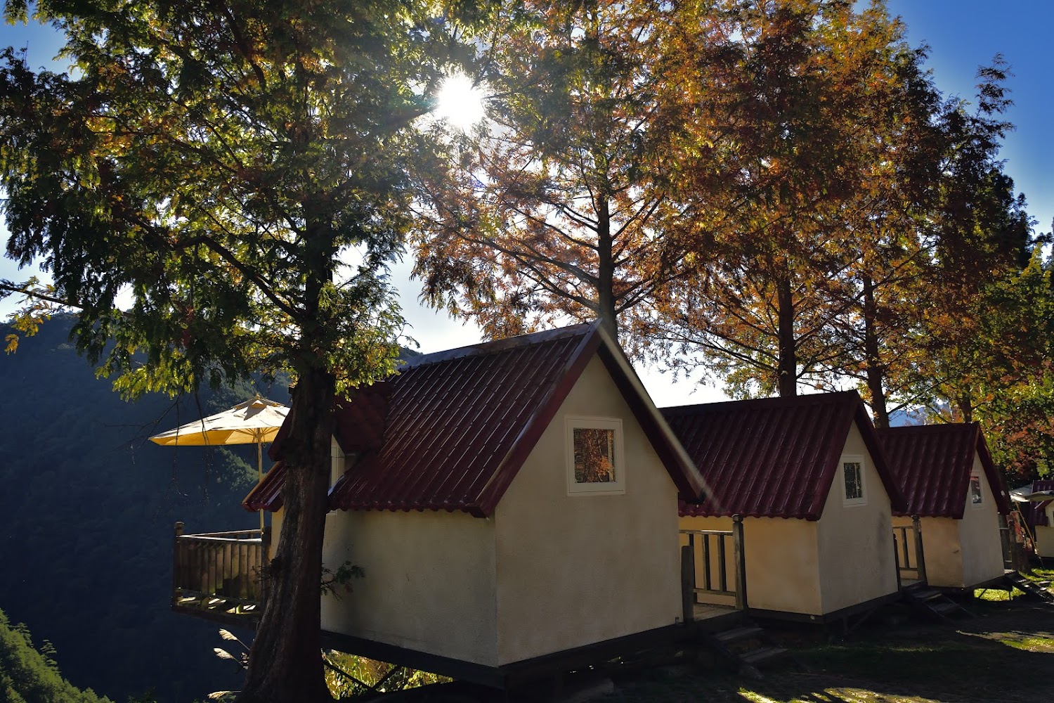 武陵農場A區露營點｜武陵農場露營區的完美露營經驗：5個必去景點和美食推薦