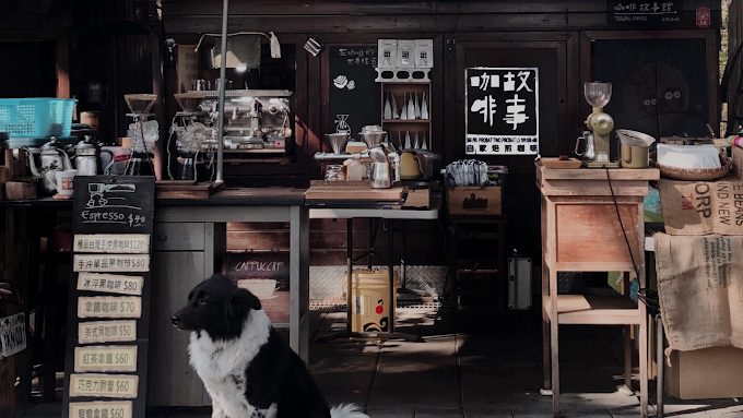 綠色隧道咖啡故事館