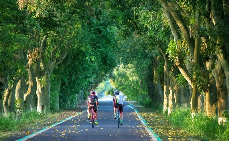 ☕ 雲林古坑咖啡節開跑！入住《111古坑行旅》送城堡門票免費玩！