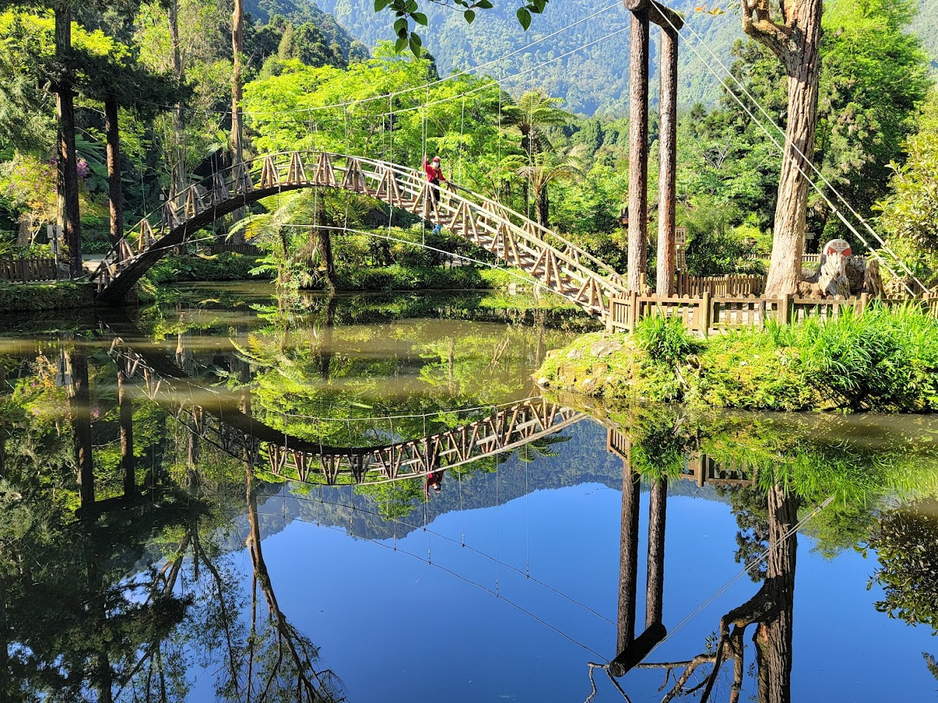 涵煙湖(溪頭自然教育園區大學池)|探索溪頭自然教育園區的隱藏寶藏與賞景秘訣