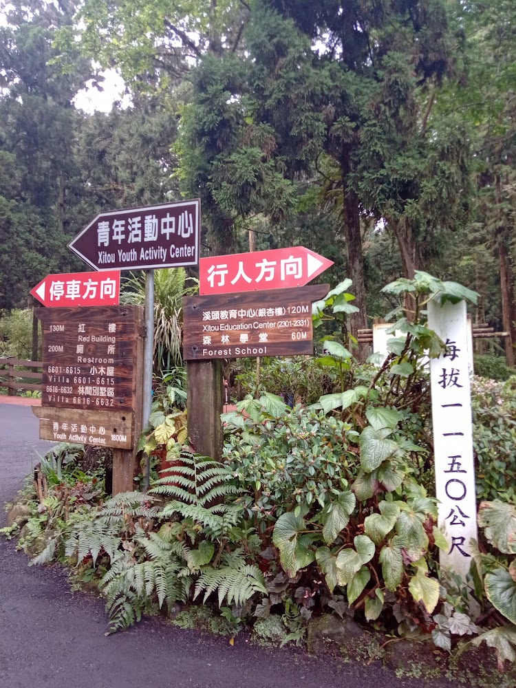 影片|探索溪頭自然教育園區的隱藏寶藏與賞景秘訣