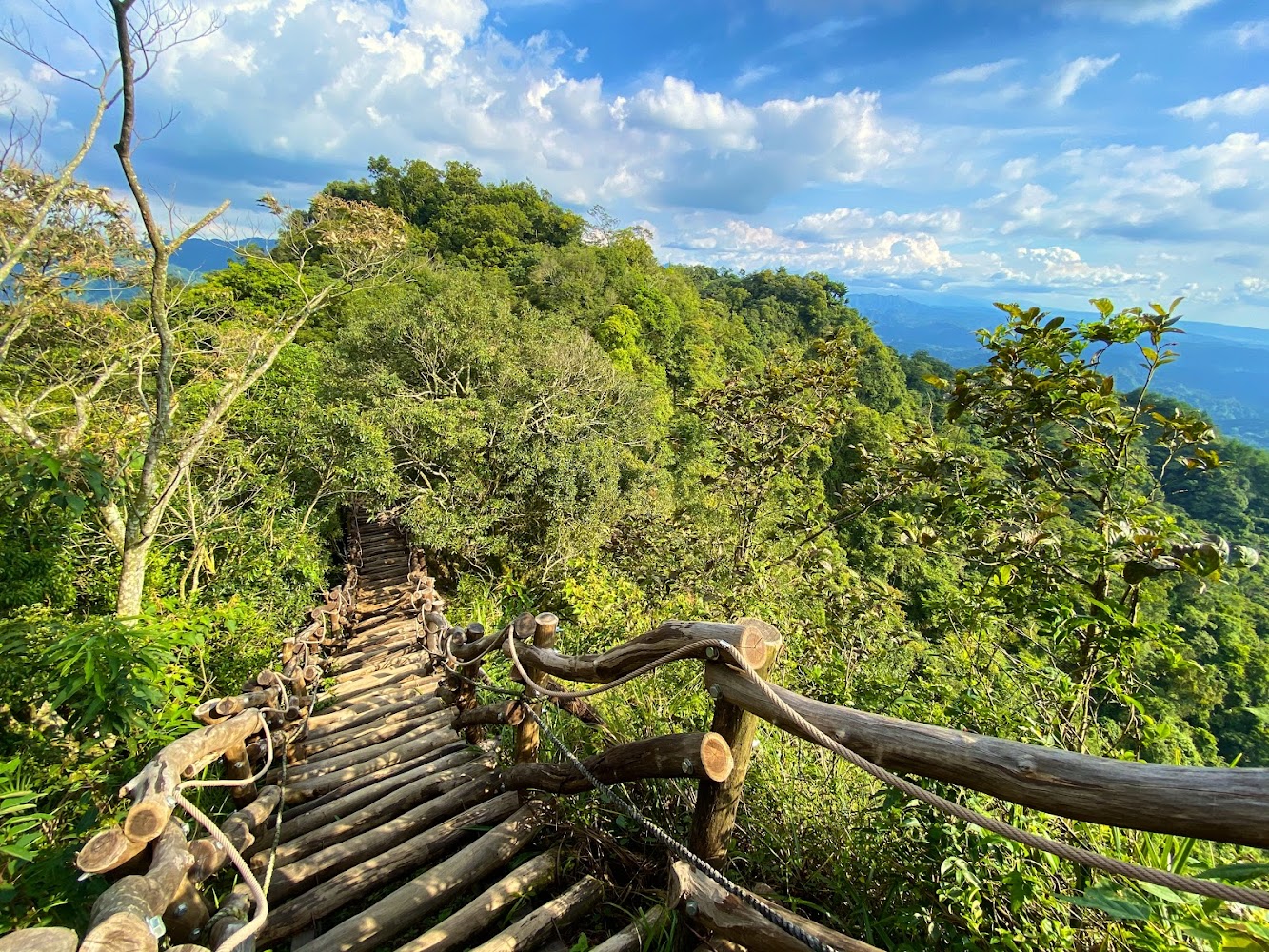 大坑四號登山步道|探索台中步道:大坑步道全攻略