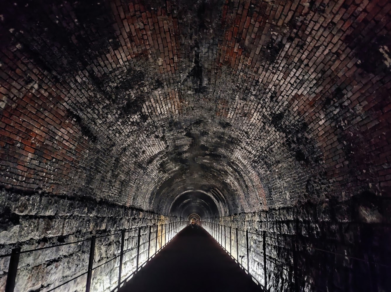 隧道內部的昏暗燈光設計旨在保護生態環境