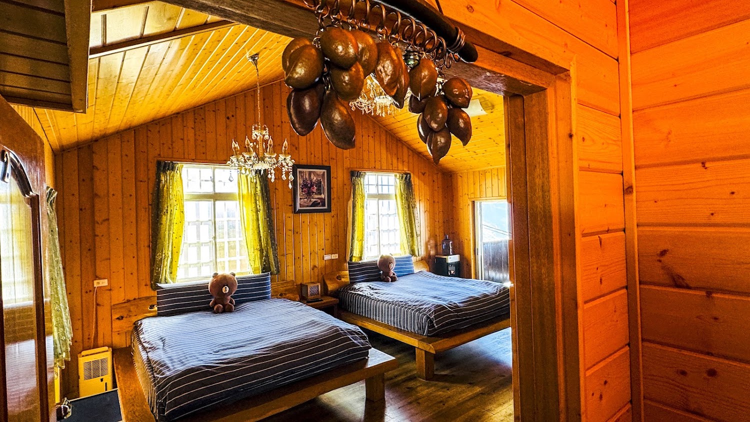 影片｜清境31民宿~看星空,日出,雲海最佳地方！多肉花園等您來觀賞！