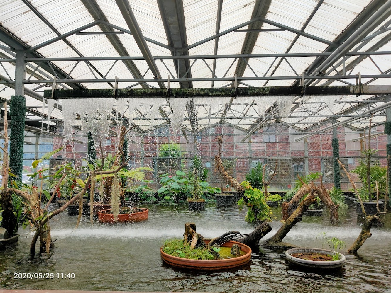 金車礁溪蘭花園附設動植物生態館