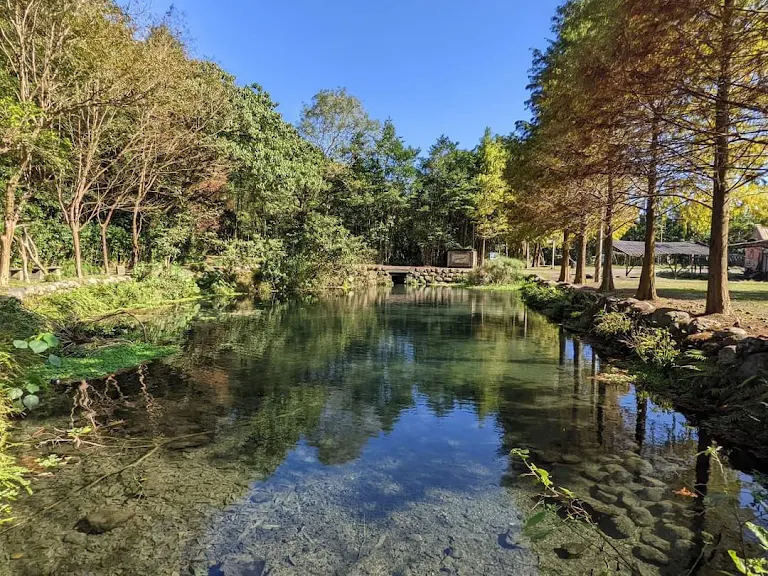風一吹就紅了的季節｜宜蘭落羽松免費秘境，美得像一場慢電影