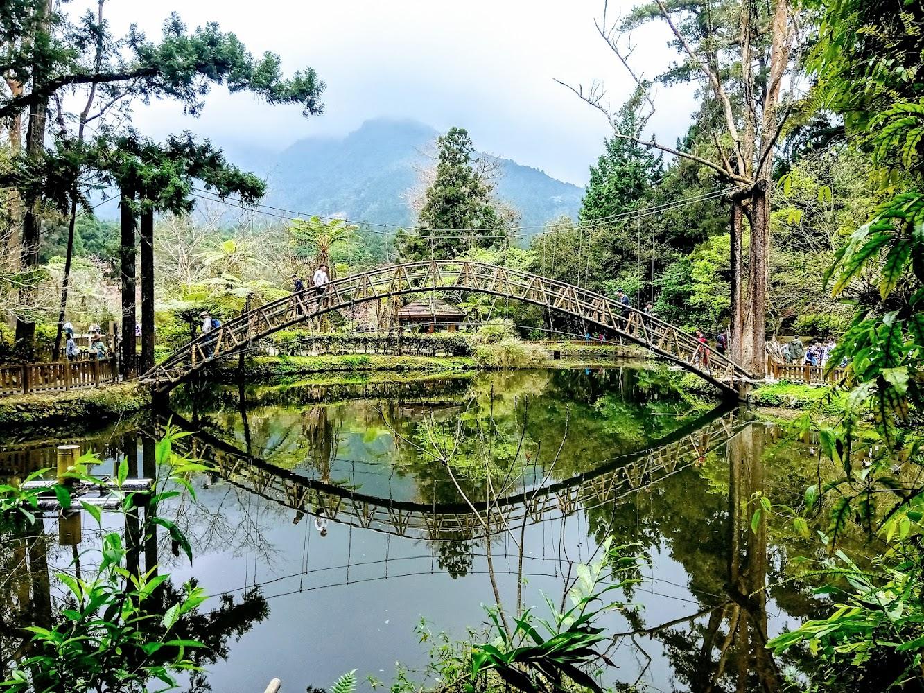 溪頭國家森林遊樂區的特色景點