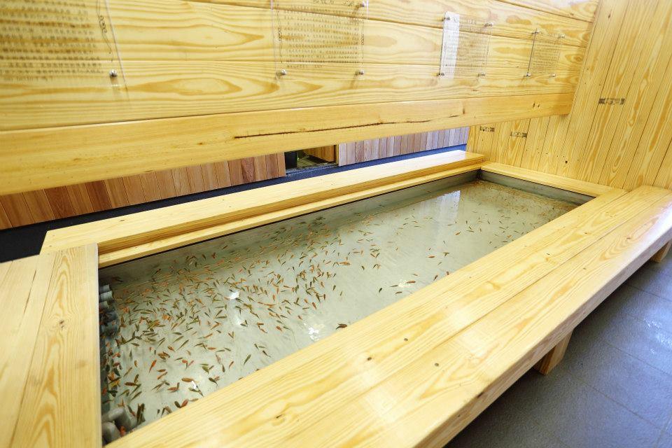 在北投溫泉的晨霧裡慢慢走進暖意,讓身體被山城的輕硫香悄悄包住的一天