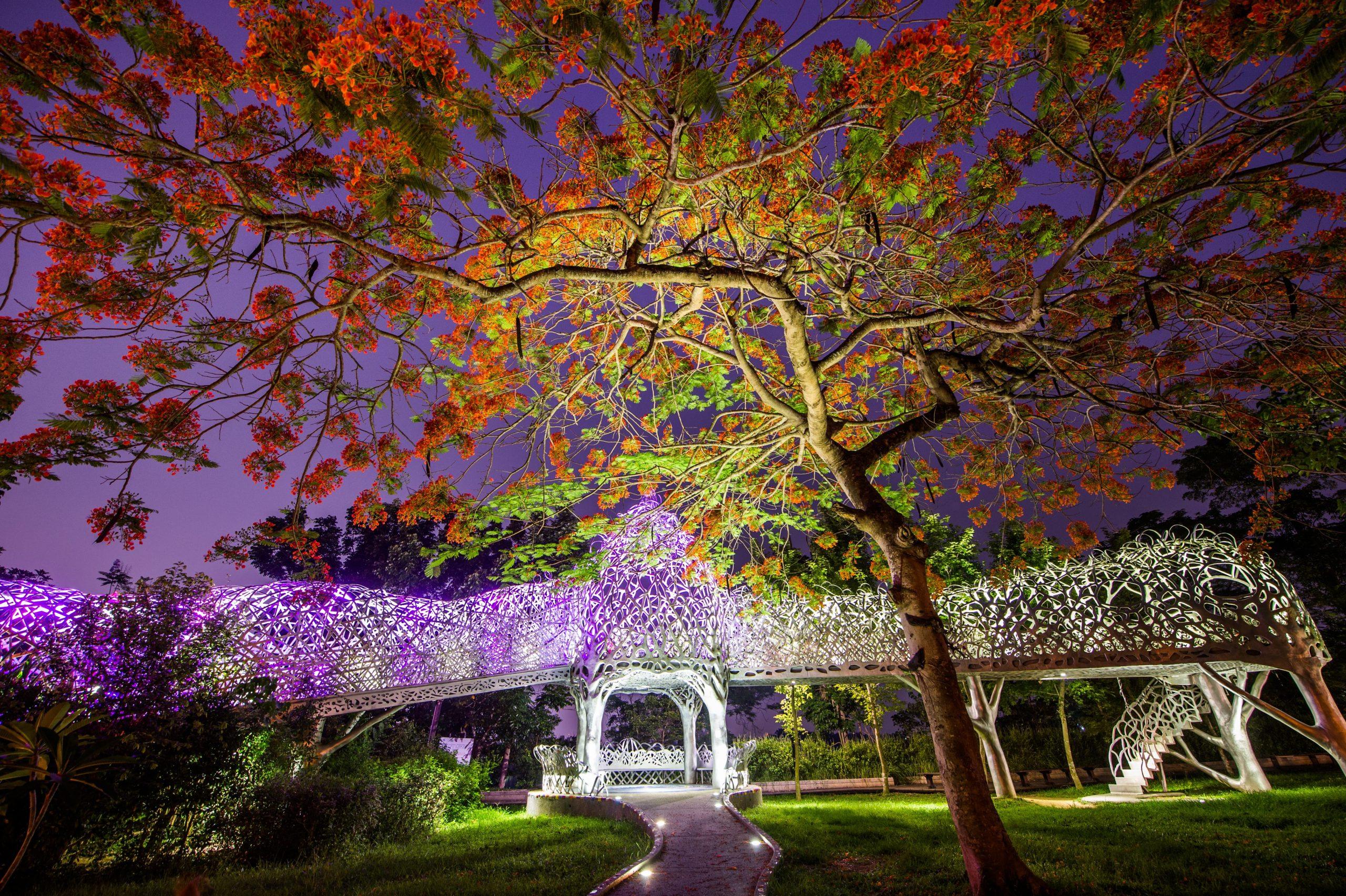 把一天交給嘉義景點，用輕鬆步伐穿過森林之歌、嘉義公園與紅毛埤的夜色倒影