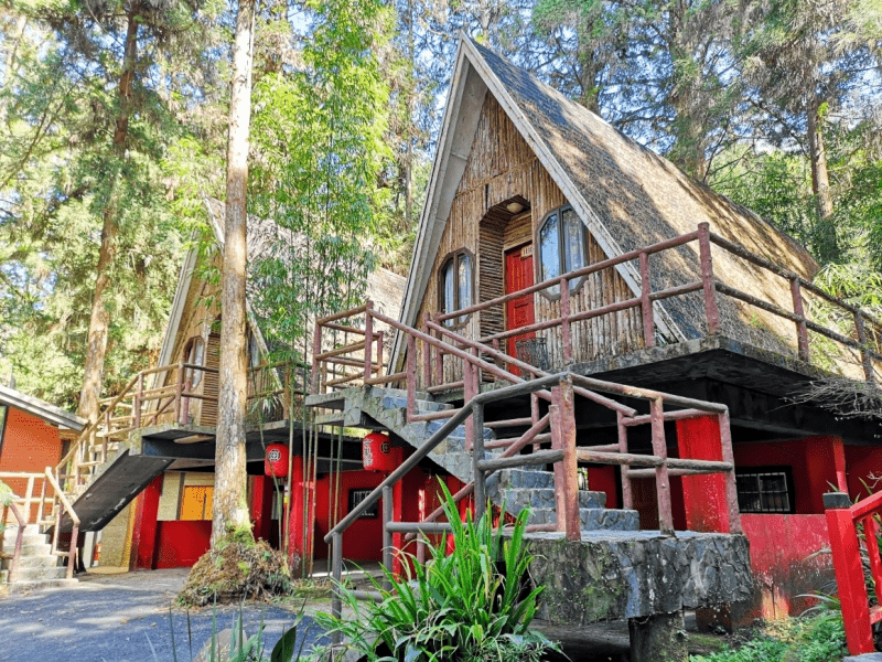 霧中尋妖的溫柔旅程，讓森林說話，住進山與妖怪的世界｜明山森林會舘